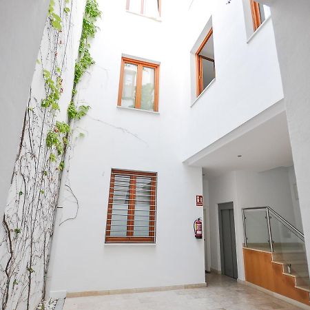 Renthas Vid Loft Apartment Malaga Ngoại thất bức ảnh
