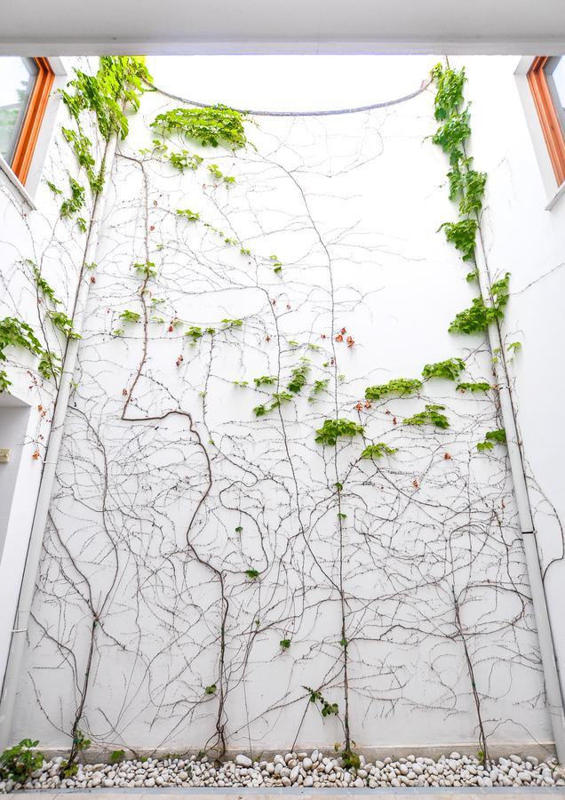 Renthas Vid Loft Apartment Malaga Ngoại thất bức ảnh